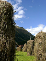 Heuhaufen von tfruechtenicht