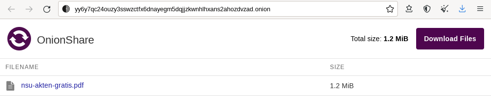 Download im Tor-Browser